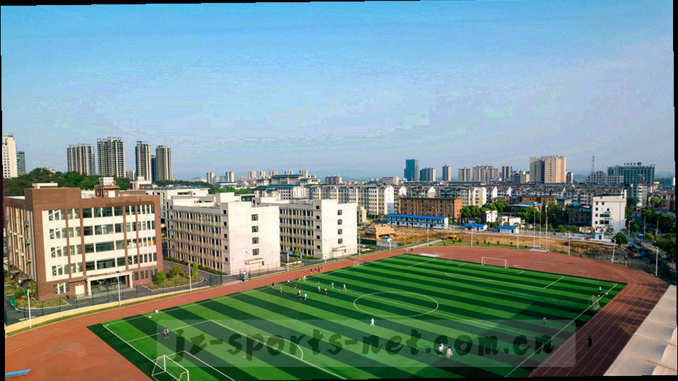 五大联赛半程射门热度图谱的抽象数据俯瞰图